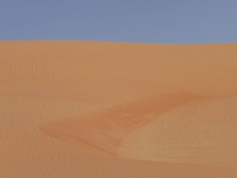 Oman Wahiba Sands (36).JPG